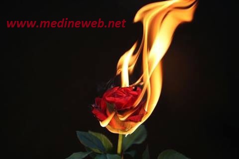 sim:  wea.jpg
Grntleme: 67
Byklk:  19,6 KB (Kilobyte)
