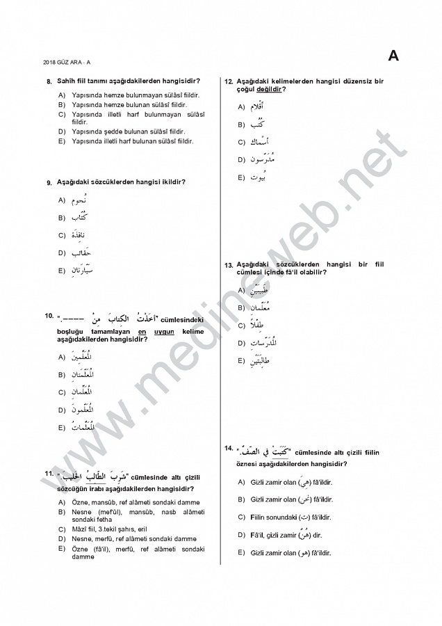 -ara1001-17_18-guz-aspdf2jpg