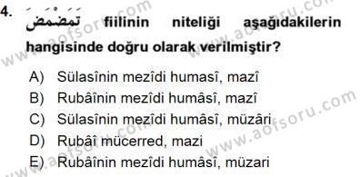 sim:  arap 4.jpg
Grntleme: 217
Byklk:  17,5 KB (Kilobyte)