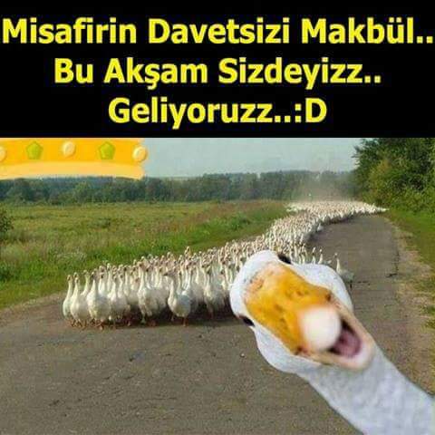 sim:  FB_IMG_1490814928749.jpg
Grntleme: 128
Byklk:  31,1 KB (Kilobyte)