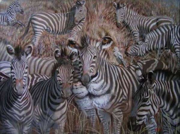 sim:  zebra.jpg
Grntleme: 76
Byklk:  43,2 KB (Kilobyte)