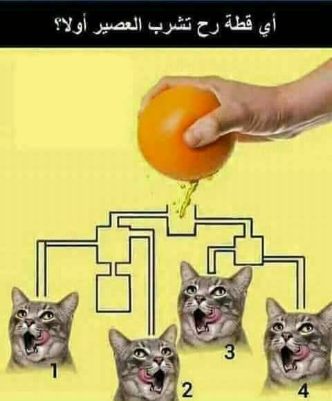 sim:  zeka soru-1.jpg
Grntleme: 73
Byklk:  23,7 KB (Kilobyte)