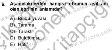 sim:  is. sanat 2016 6. soru.jpg
Grntleme: 173
Byklk:  15,4 KB (Kilobyte)