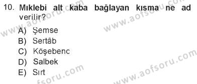 sim:  isl. sanat 2013 tek 10. soru.jpg
Grntleme: 105
Byklk:  9,4 KB (Kilobyte)