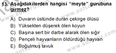 sim:  gn 53.jpg
Grntleme: 122
Byklk:  18,1 KB (Kilobyte)