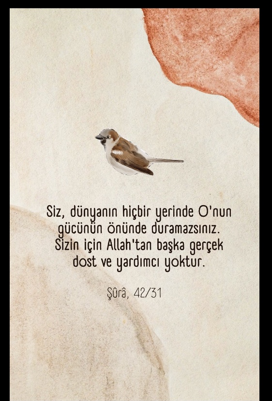 sim:  IMG_2483.jpeg
Grntleme: 26
Byklk:  187,3 KB (Kilobyte)