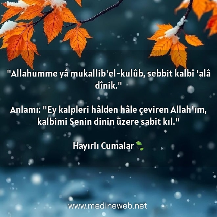 sim:  20241227131120.jpg
Grntleme: 24
Byklk:  294,4 KB (Kilobyte)