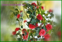 sim:  123.jpg
Grntleme: 90
Byklk:  20,4 KB (Kilobyte)