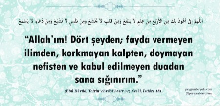 �sim:  CnKz2LhWcAABGJs.jpg
G�r�nt�leme: 2
B�y�kl�k:  35,1 KB (Kilobyte)