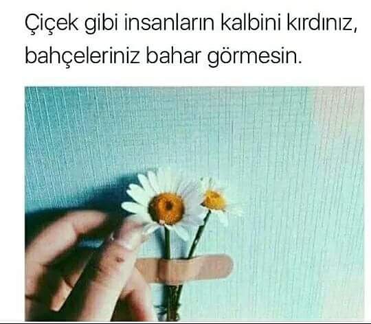 sim:  19052083_441167722913148_2879098332934832128_n.jpg
Grntleme: 99
Byklk:  36,2 KB (Kilobyte)