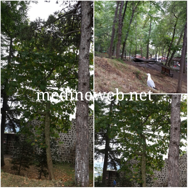 sim:  pixlr_20170801190159635.jpg
Grntleme: 229
Byklk:  478,3 KB (Kilobyte)