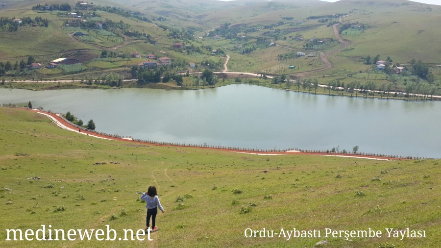 �sim:  20170802_135925.jpg
G�r�nt�leme: 99
B�y�kl�k:  194,2 KB (Kilobyte)