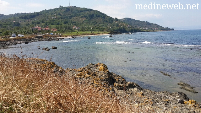 �sim:  20170803_102558.jpg
G�r�nt�leme: 113
B�y�kl�k:  275,3 KB (Kilobyte)