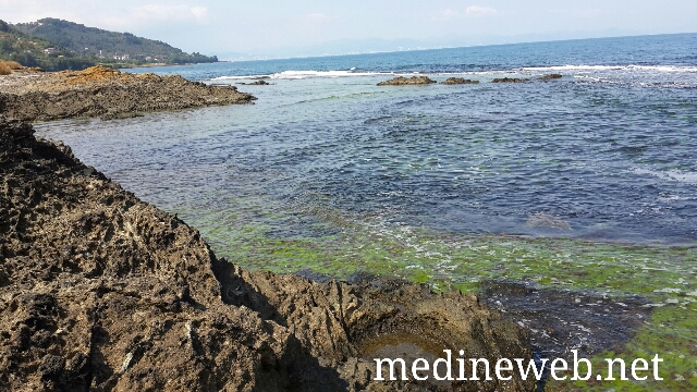 �sim:  20170803_102203.jpg
G�r�nt�leme: 112
B�y�kl�k:  280,1 KB (Kilobyte)