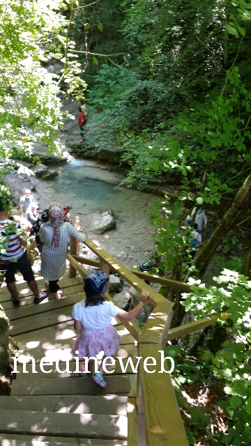 �sim:  20170807_122928.jpg
G�r�nt�leme: 109
B�y�kl�k:  274,3 KB (Kilobyte)