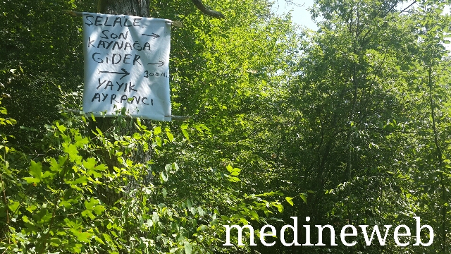 �sim:  20170807_140940.jpg
G�r�nt�leme: 105
B�y�kl�k:  350,4 KB (Kilobyte)