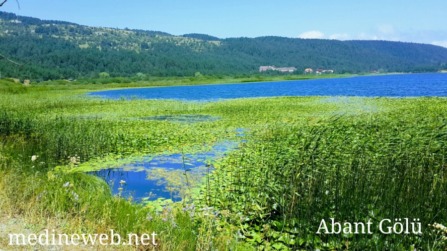 �sim:  20170808_124727-EFFECTS_20170813105629939.jpg
G�r�nt�leme: 107
B�y�kl�k:  282,6 KB (Kilobyte)