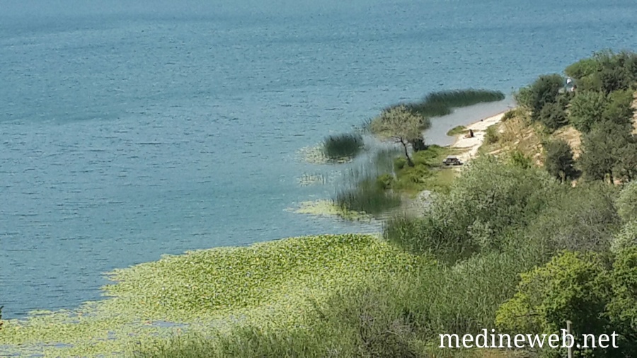 �sim:  20170808_150353.jpg
G�r�nt�leme: 120
B�y�kl�k:  200,2 KB (Kilobyte)