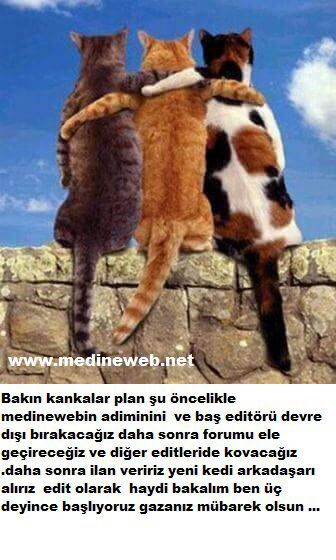 sim:  IMG-20171129-WA0025.jpg
Grntleme: 89
Byklk:  49,1 KB (Kilobyte)