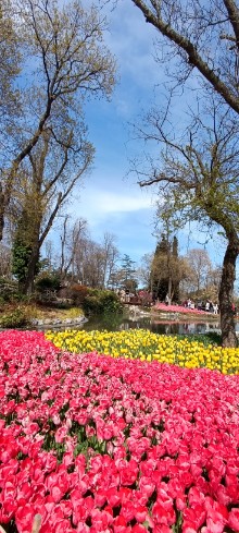 �sim:  IMG_20260413_145506.jpg
G�r�nt�leme: 8
B�y�kl�k:  61,9 KB (Kilobyte)