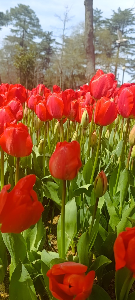 �sim:  IMG_20260413_144723.jpg
G�r�nt�leme: 0
B�y�kl�k:  129,5 KB (Kilobyte)