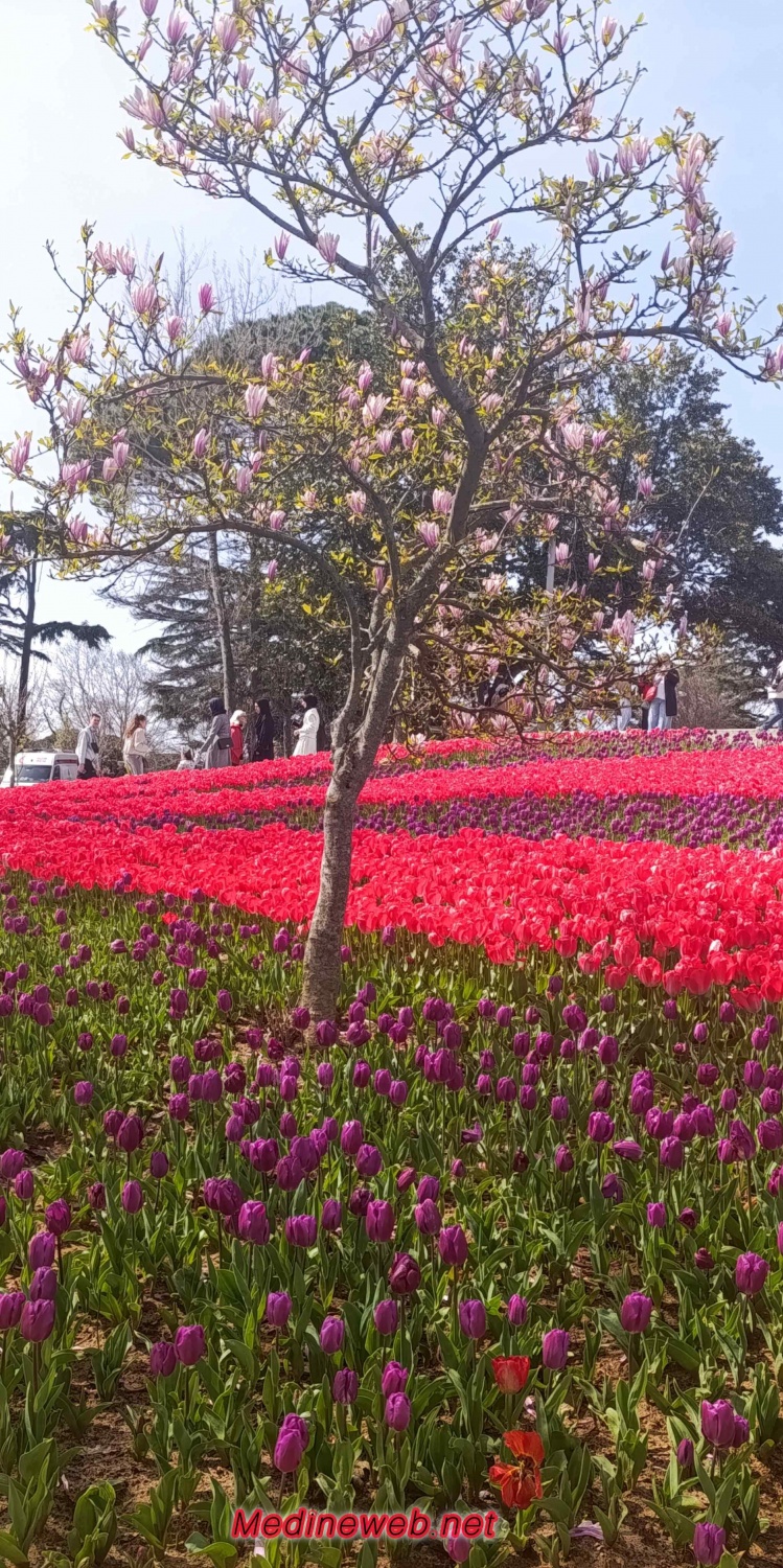 �sim:  1000104013.jpg
G�r�nt�leme: 0
B�y�kl�k:  709,9 KB (Kilobyte)