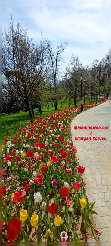 �sim:  1000102582.jpg
G�r�nt�leme: 8
B�y�kl�k:  122,6 KB (Kilobyte)