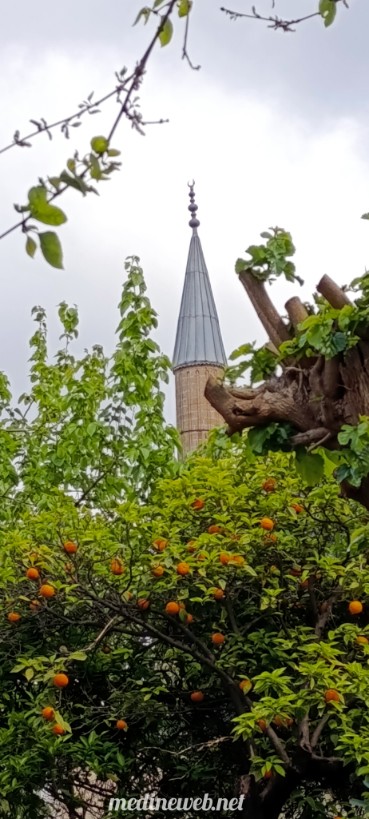 �sim:  InShot_20260418_194403223.jpg
G�r�nt�leme: 5
B�y�kl�k:  99,1 KB (Kilobyte)