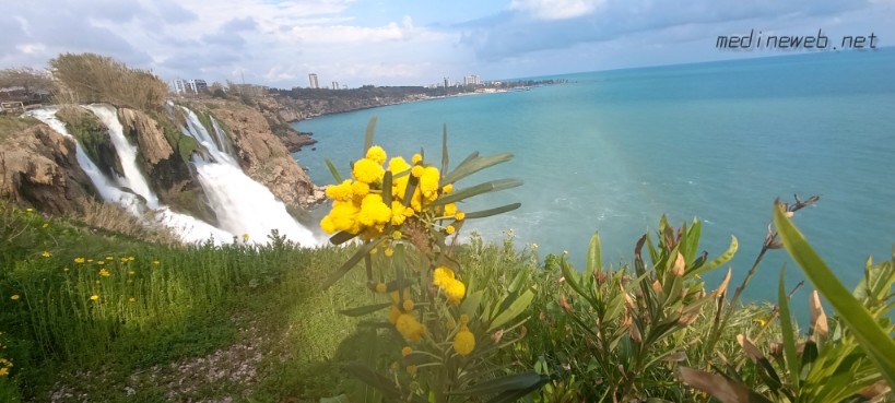 �sim:  InShot_20260418_194934970.jpg
G�r�nt�leme: 4
B�y�kl�k:  85,8 KB (Kilobyte)