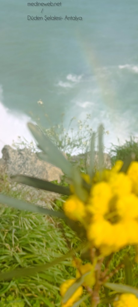 �sim:  InShot_20260418_194733061.jpg
G�r�nt�leme: 0
B�y�kl�k:  63,5 KB (Kilobyte)