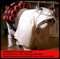 sim:  ke.jpg
Grntleme: 217
Byklk:  20,4 KB (Kilobyte)