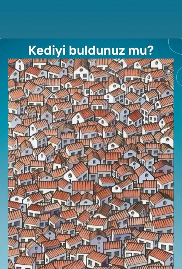 -img_20251202_215018jpg