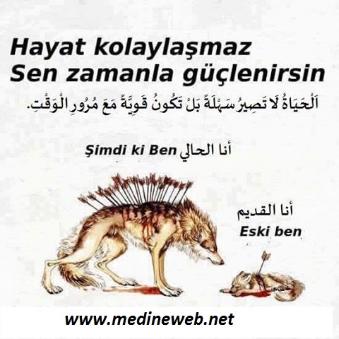 sim:  13310639_1131630416887711_2127817193470583861_n.jpg
Grntleme: 83
Byklk:  68,7 KB (Kilobyte)