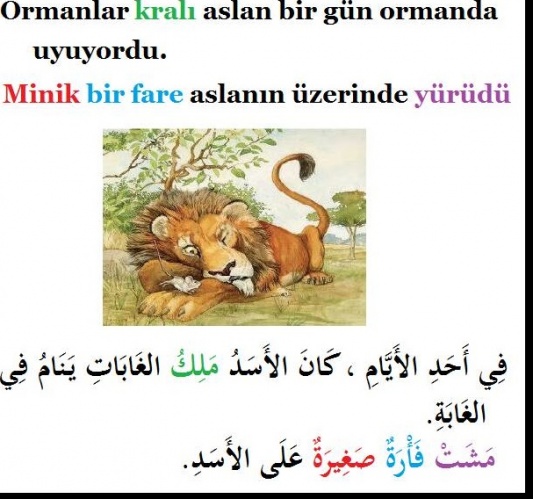 sim:  Arapca-hikaye-aslan-ile-fare-2.jpg
Grntleme: 45
Byklk:  87,6 KB (Kilobyte)