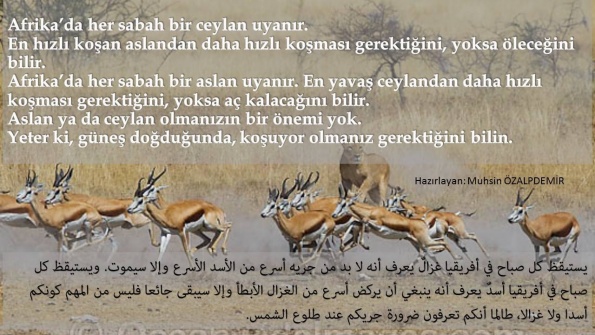 sim:  14068354_1187304754653610_5272394121898292891_o.jpg
Grntleme: 92
Byklk:  104,7 KB (Kilobyte)