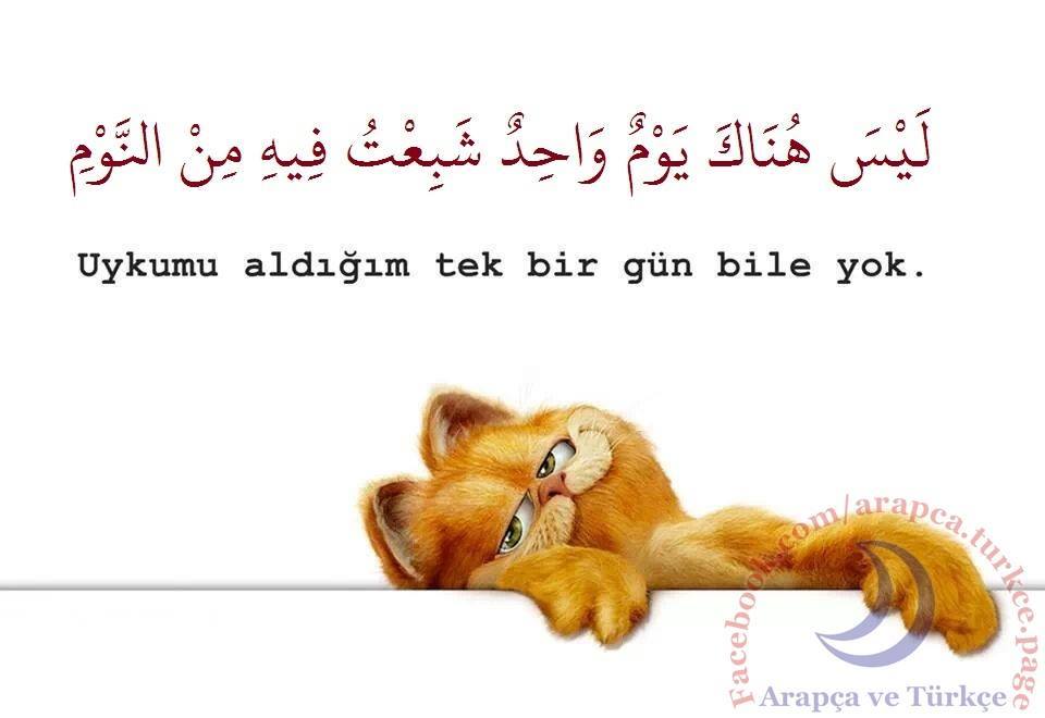 sim:  arapa karik.jpg
Grntleme: 23
Byklk:  41,2 KB (Kilobyte)