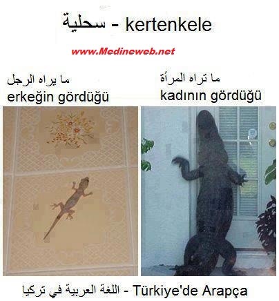 sim:  BY0RhNNIMAA5lnx.jpg
Grntleme: 68
Byklk:  51,8 KB (Kilobyte)