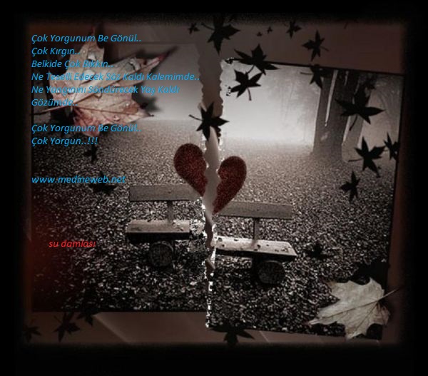 �sim:  elli.jpg
G�r�nt�leme: 116
B�y�kl�k:  91,7 KB (Kilobyte)