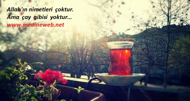 sim:  resimli szler 7. sayfa Allahn nimetleri oktur, ama ay gibisi yoktur.jpg
Grntleme: 84
Byklk:  106,8 KB (Kilobyte)