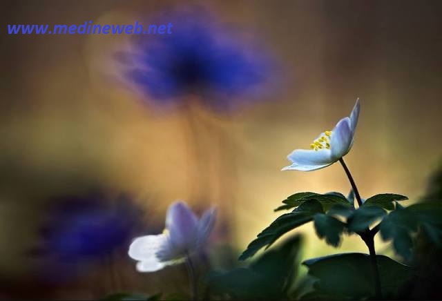 �sim:  2.jpg
G�r�nt�leme: 90
B�y�kl�k:  35,2 KB (Kilobyte)