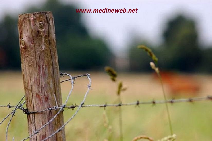 sim:  6.JPG
Grntleme: 116
Byklk:  74,2 KB (Kilobyte)