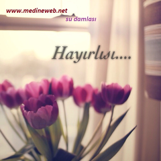 sim:  1.jpg
Grntleme: 78
Byklk:  84,3 KB (Kilobyte)
