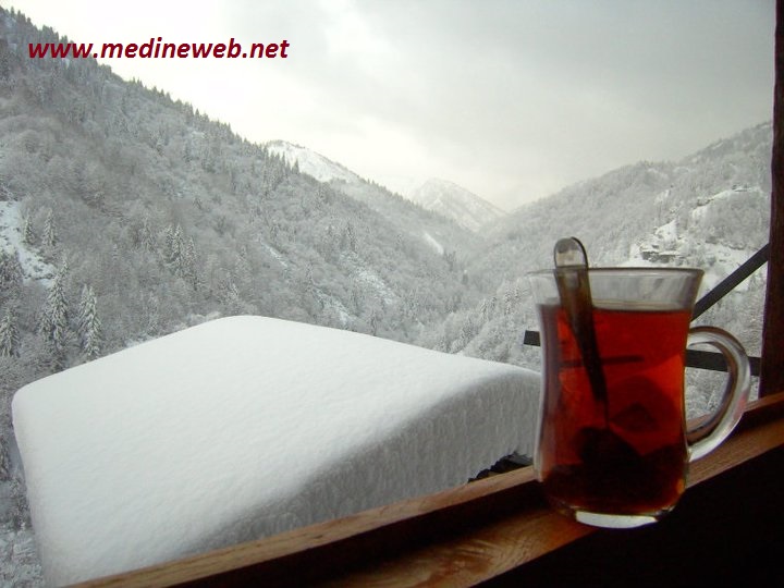 sim:  re.jpg
Grntleme: 78
Byklk:  91,7 KB (Kilobyte)