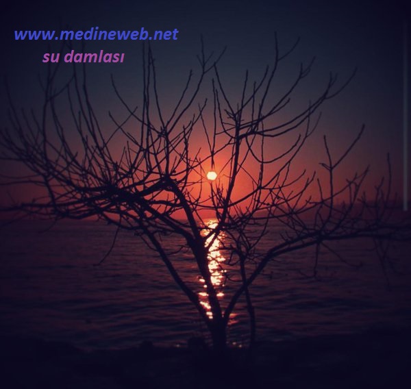 �sim:  s1.jpg
G�r�nt�leme: 110
B�y�kl�k:  66,9 KB (Kilobyte)