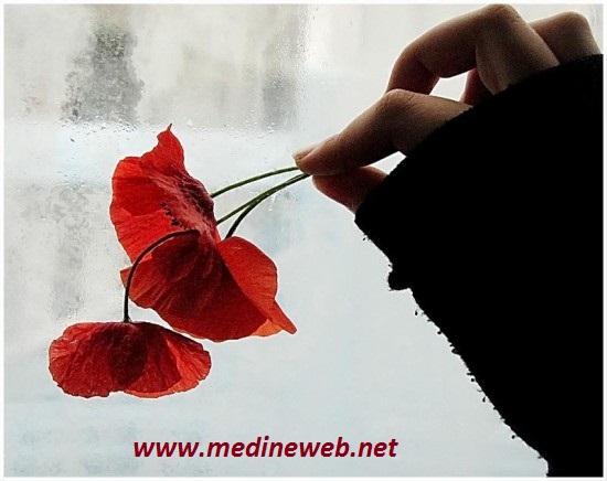sim:  qw.jpg
Grntleme: 83
Byklk:  60,2 KB (Kilobyte)