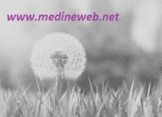 �sim:  klm.jpg
G�r�nt�leme: 88
B�y�kl�k:  18,4 KB (Kilobyte)