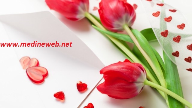 �sim:  23.jpg
G�r�nt�leme: 111
B�y�kl�k:  53,8 KB (Kilobyte)