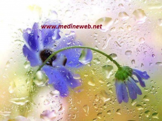 �sim:  cvb.jpg
G�r�nt�leme: 83
B�y�kl�k:  97,0 KB (Kilobyte)