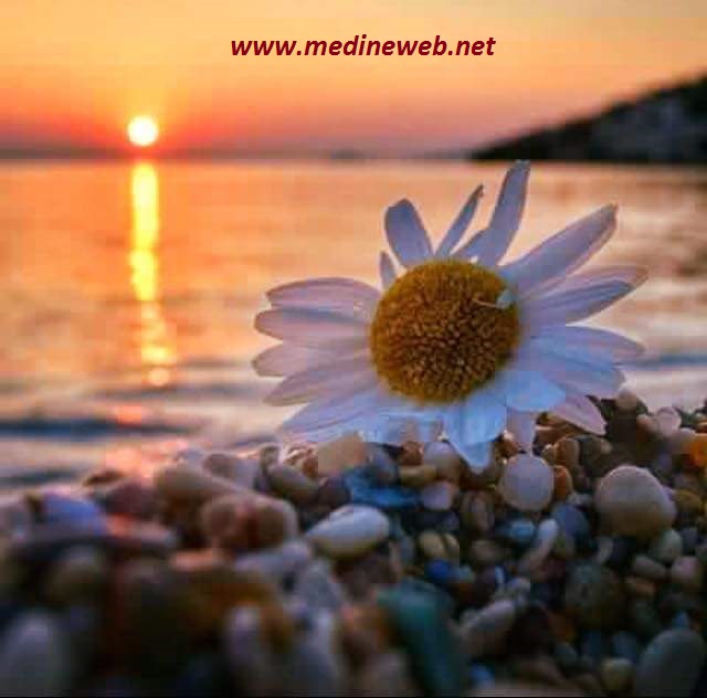 �sim:  01.jpg
G�r�nt�leme: 107
B�y�kl�k:  61,6 KB (Kilobyte)