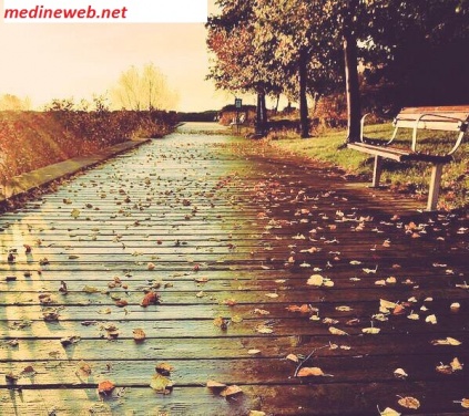 �sim:  sonbahar.jpg
G�r�nt�leme: 90
B�y�kl�k:  97,5 KB (Kilobyte)